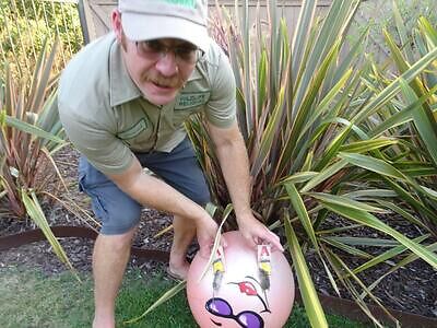 The Villages pest control